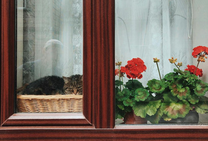 Thermally Broken Aluminum Windows and Doors: The Ultimate Choice for Your Home