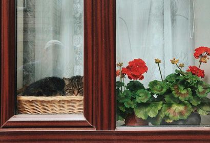 Thermally Broken Aluminum Windows and Doors: The Ultimate Choice for Your Home